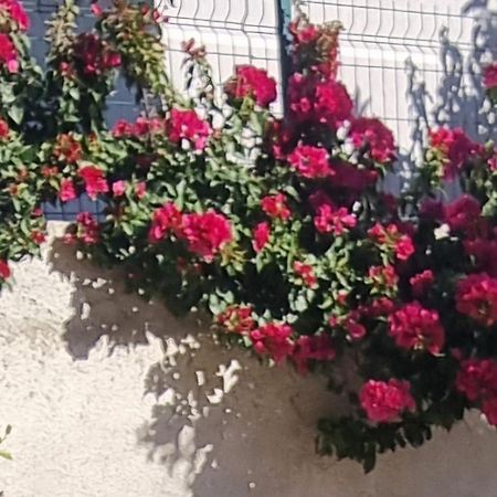 Vila Megi-Rent Room Vlorë Exterior foto